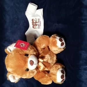 Teddy Bear plush with T-shirt